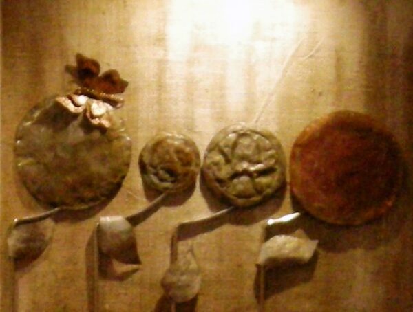 Maselli Valeria 2011