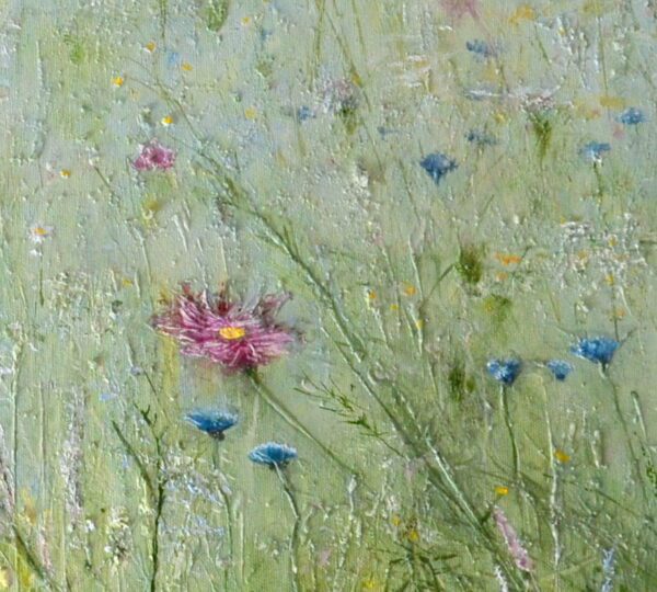 Fiori di campo - Angelini Fabio