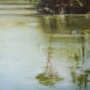 Natura allo specchio - Angelini Fabio