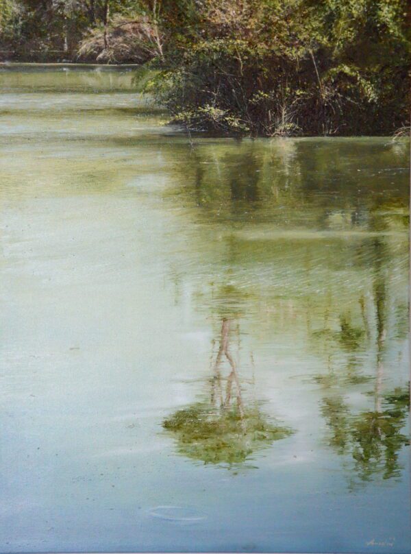 Natura allo specchio - Angelini Fabio