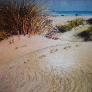 Dune - Angelini Fabio