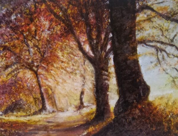 Luci nel bosco - Angelini Fabio