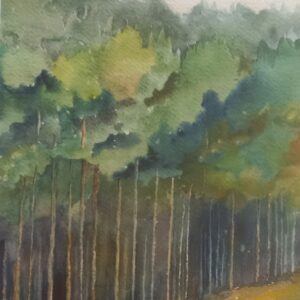 Foresta - Giulio Naldi