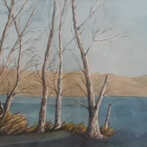 Inverno - Naldi Giulio
