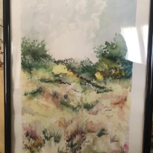 Colori della natura - Guandalini Leonardo